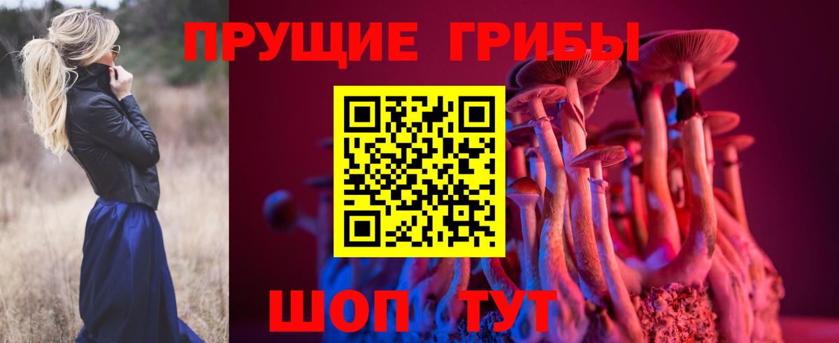 Псилоцибиновые грибы Psilocybe  Вход с VPN  закладки  Можга 